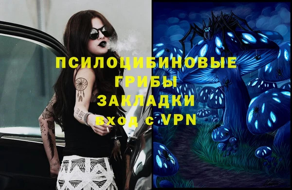ПСИЛОЦИБИНОВЫЕ ГРИБЫ Алзамай