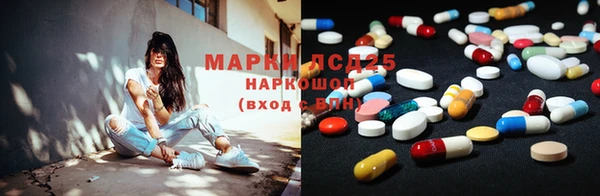 ПСИЛОЦИБИНОВЫЕ ГРИБЫ Алзамай