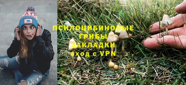 ПСИЛОЦИБИНОВЫЕ ГРИБЫ Алзамай